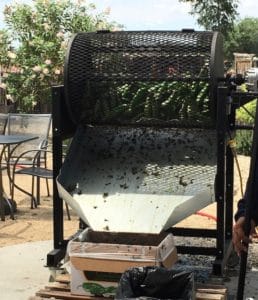 Green Chiles being Roasted