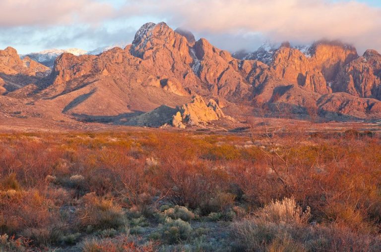 2019 12 27 07 05 46 768x507