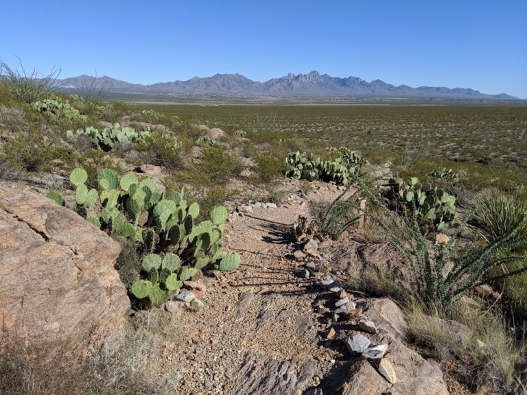 Chihuahuan Desert Nature Park