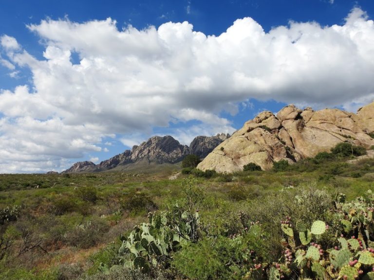 dripping springs b7dedc6 1 768x576