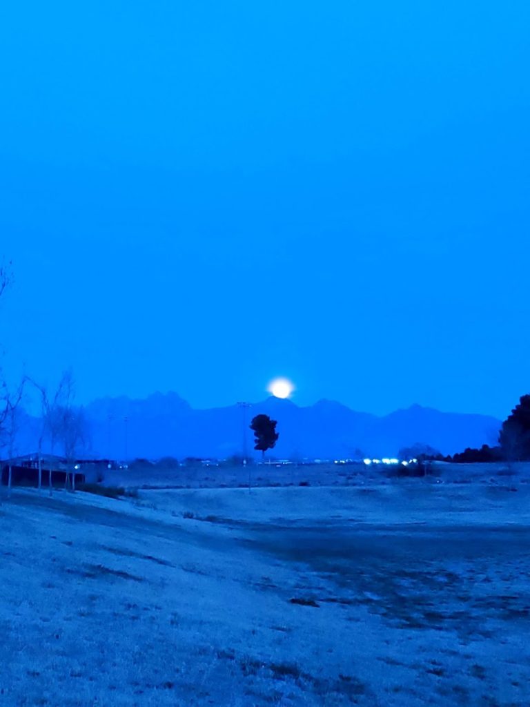 legends west toddler park 7f34672 1 768x1024