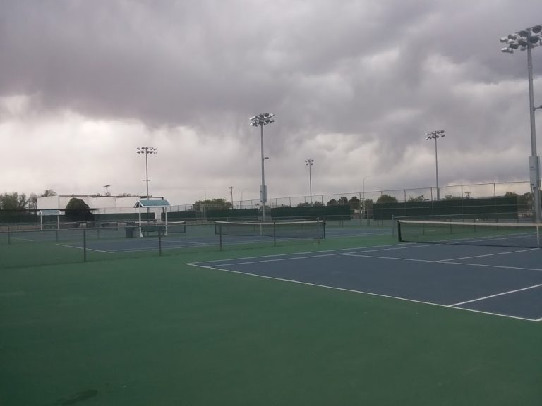 lions park 4b2d6a8 1 768x576