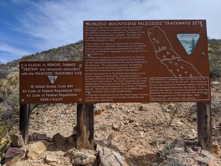 prehistoric trackways national monument b88a5e9 1 768x576