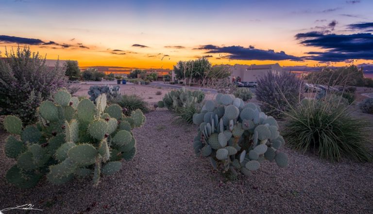 rokoko 677118f 1 768x442