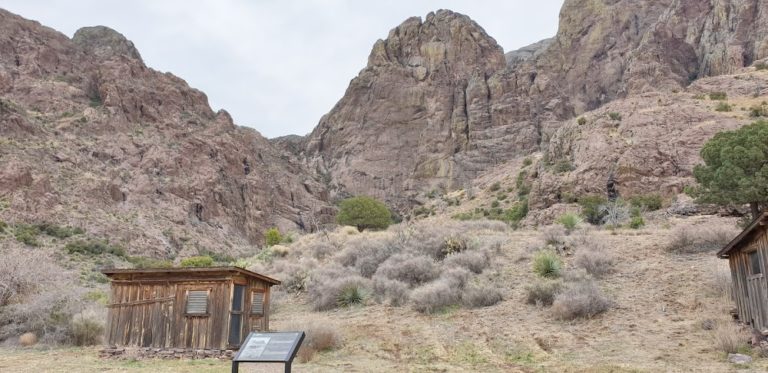 the livery 893b54c 1 768x373