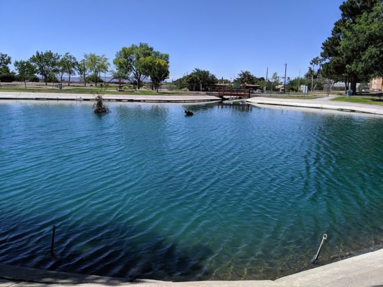 young park 472e47c 1 768x576