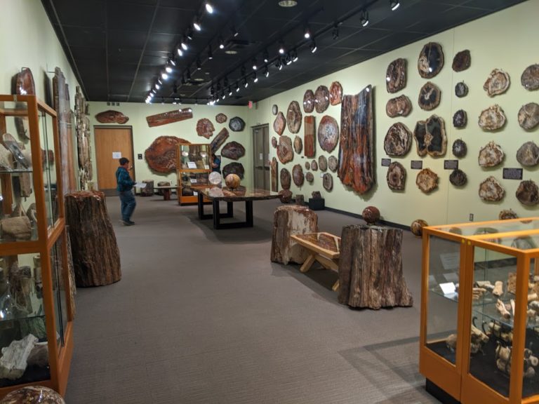 zuhl museum home of the zuhl collection ec6963e 1 768x576