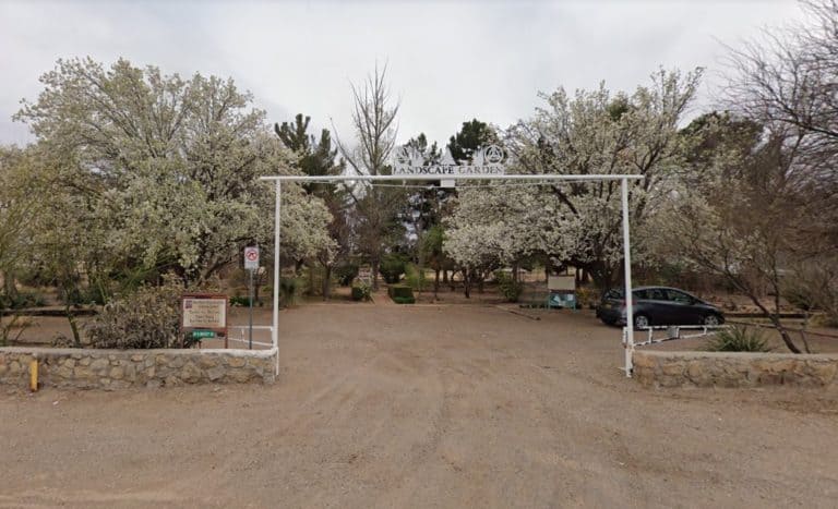 fabian garcia botanical gardens