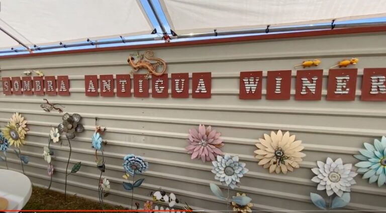 Sombra Antigua Vineyard and Winery Sombra Antigua Vineyard and Winery