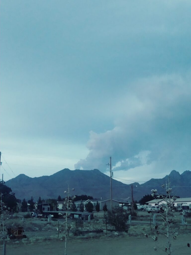 photo.html 4 768x1024