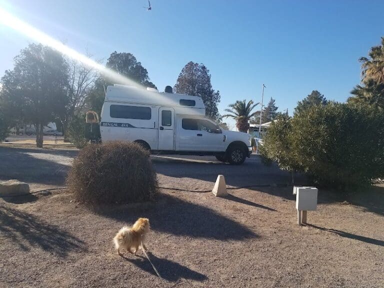 photo.html 75 768x576