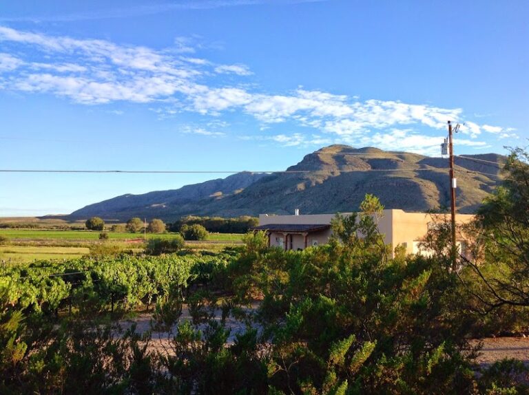 Fort Selden Winery Fort Selden Winery