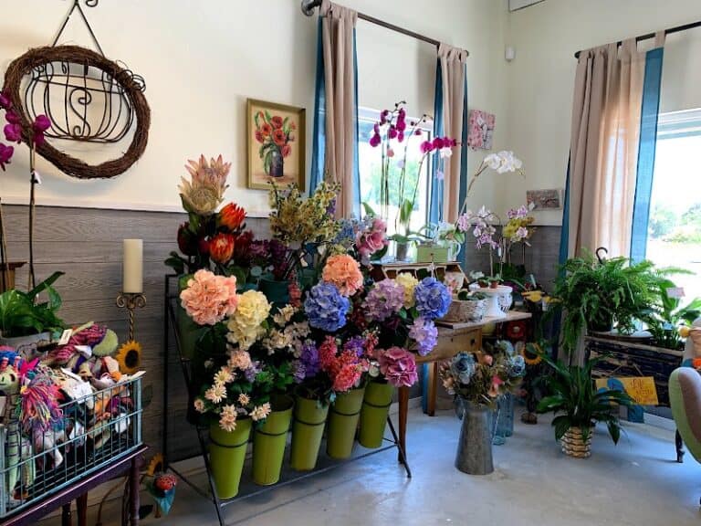 photo.html 93 768x576