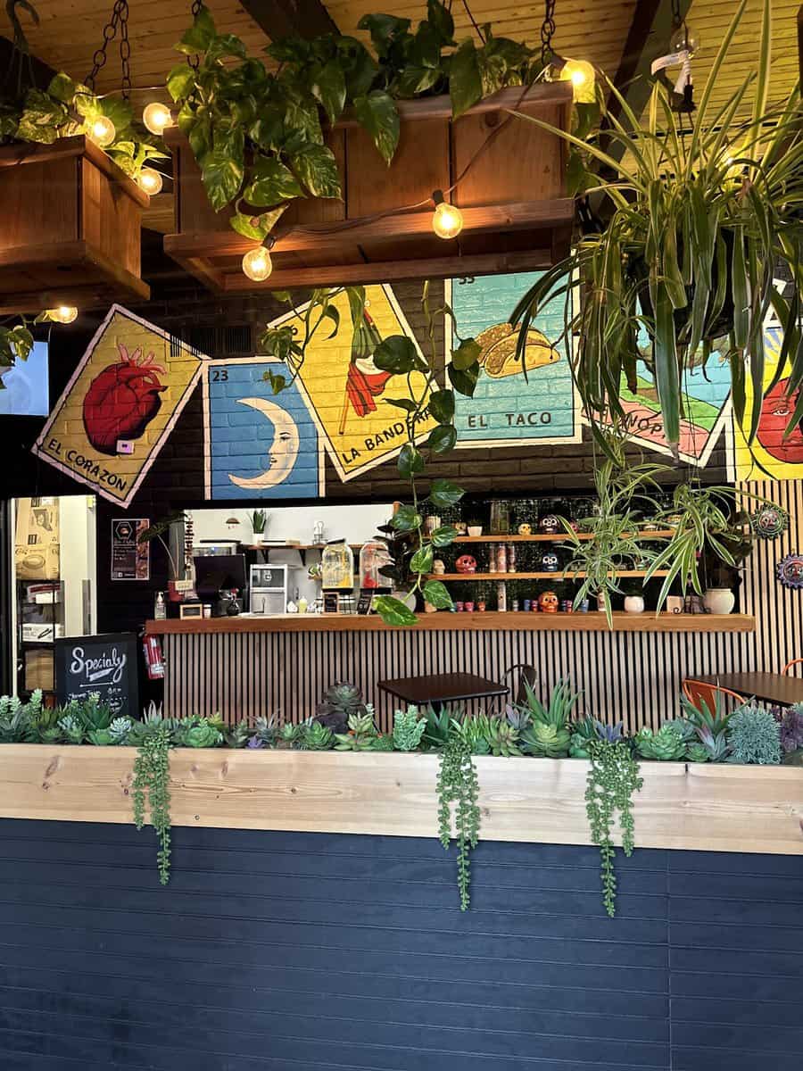A cozy cafe interior with a wooden bar counter, hanging plants, and colorful wall art reminiscent of El Vagon Tacos. Warm lighting adds a welcoming ambiance, inviting you to enjoy flavorful Mexican food in a uniquely charming setting.